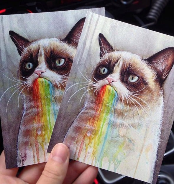 Olechka Design Grumpy Cat Rainbow Postcard Cool Geek Gift Idea Olechka Design Grumpy Cat Rainbow Postcard Cool Geek Gift Idea