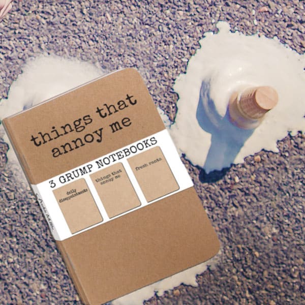Accoutrements Things That Annoy Me  3 Grump Notebooks Funny Gag Gift Idea