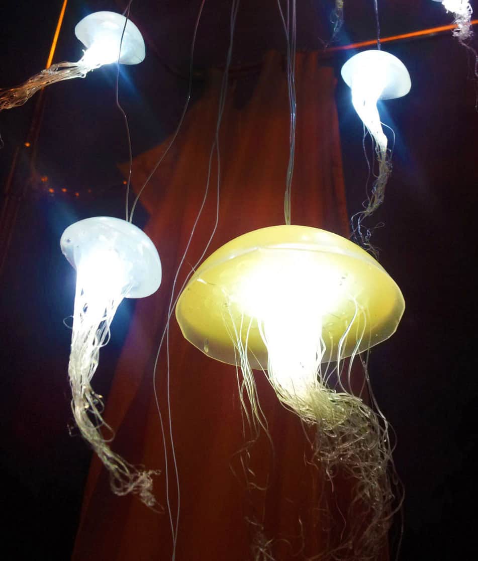 Ellipsis-Fish-Jellyfish-Hanging-Lights-Cool-Lighthing-Fixture