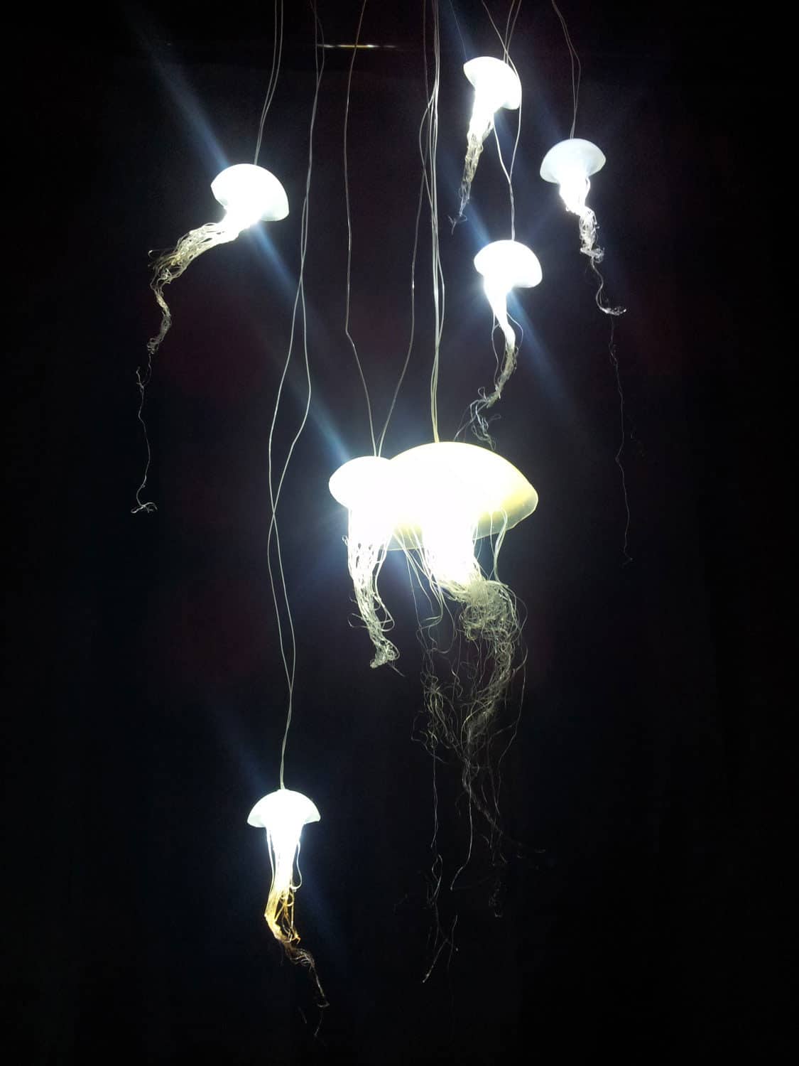 Ellipsis Fish Jellyfish Hanging Lights Glowing