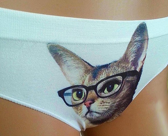 Water Stars Smart Cat Panty Fun Underwear Water Stars Smart Cat Panty Fun Underwear