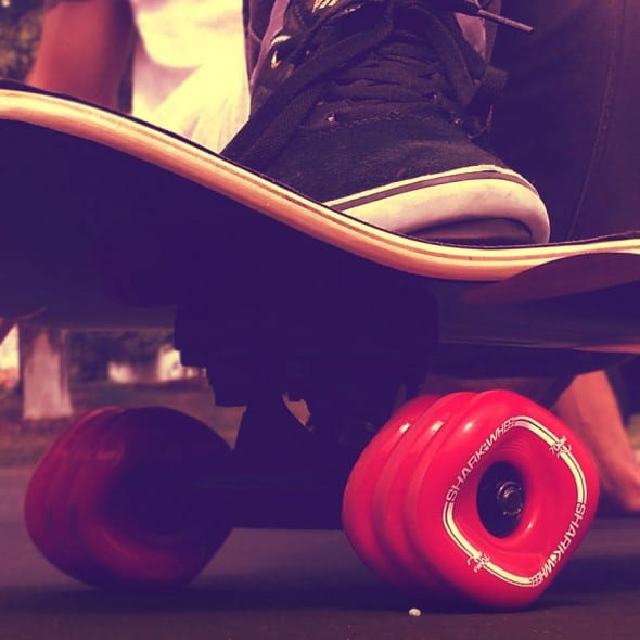 Shark Wheels Square Skateboard Wheels Reinvention Shark Wheels Square Skateboard Wheels Reinvention