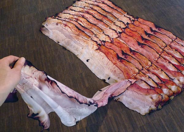 Bacon Scarf by Natalie Luder Weird Fashion Accessory