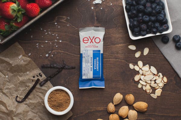 Exo Cricket Flour Protein Bars Blueberry Vanilla