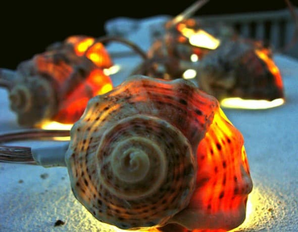 More than Sea Glass Sea Shell Garland Strand of Lights Tropical Lighting More than Sea Glass Sea Shell Garland Strand of Lights Tropical Lighting