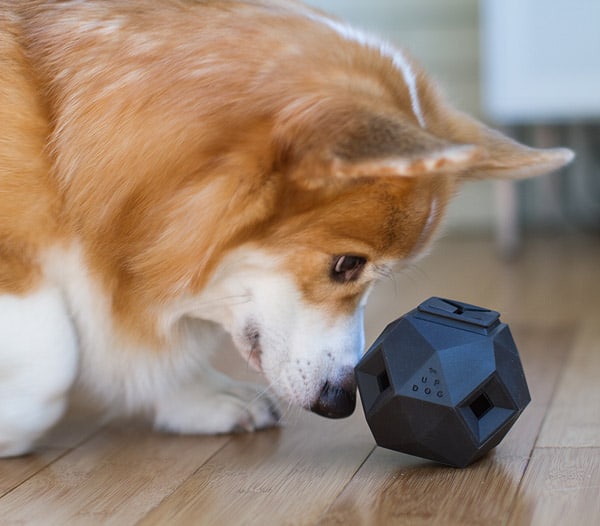 Up Dog Toys The Odin Increase Pet IQ