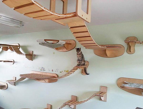 Goldtatze cat Climbing Furniture For Cat Lovers