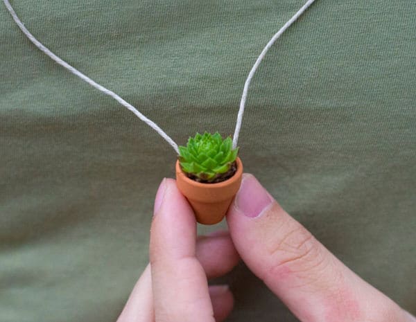 Plants are Friends Succulent Planter Necklace Cute Fashion Accessory