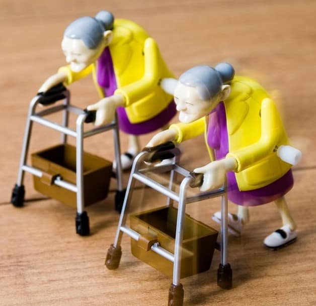 Racing Grannies Funny Toy to Buy