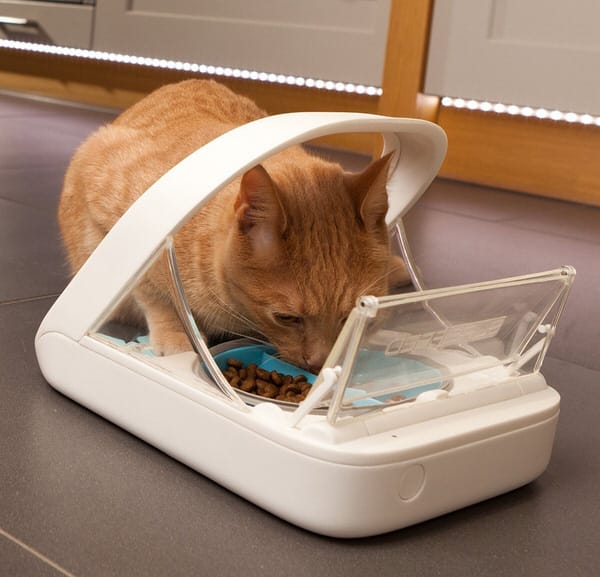 SureFeed Microchip Pet Feeder Cool Gift for Cat Lovers