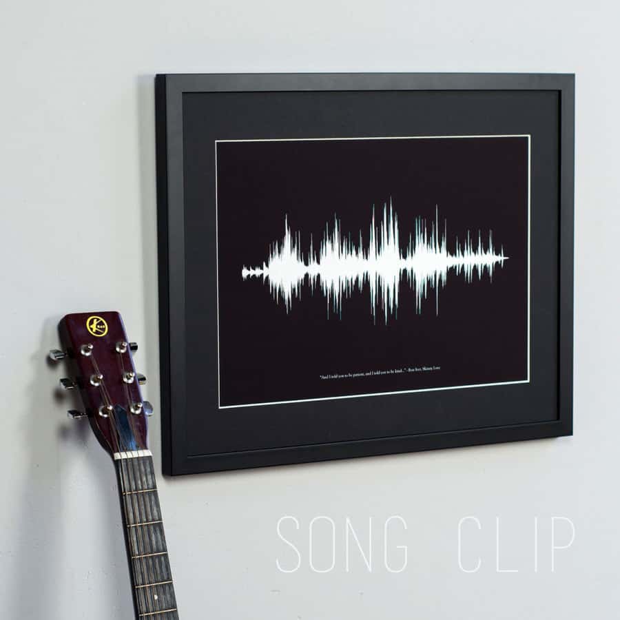 Newton and the Apple Your Voice Sound Wave Print Frame for Recording Studio