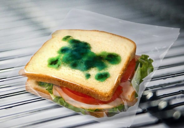 BigMouth Inc Theft Deterrent Moldy Sandwich Bags Funny Office Gag BigMouth Inc Theft Deterrent Moldy Sandwich Bags Funny Office Gag