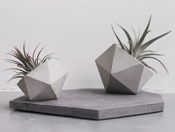 OLYMPUS DIGITAL CAMERA Frauklarer Geometric Concrete Planter Industrial Design