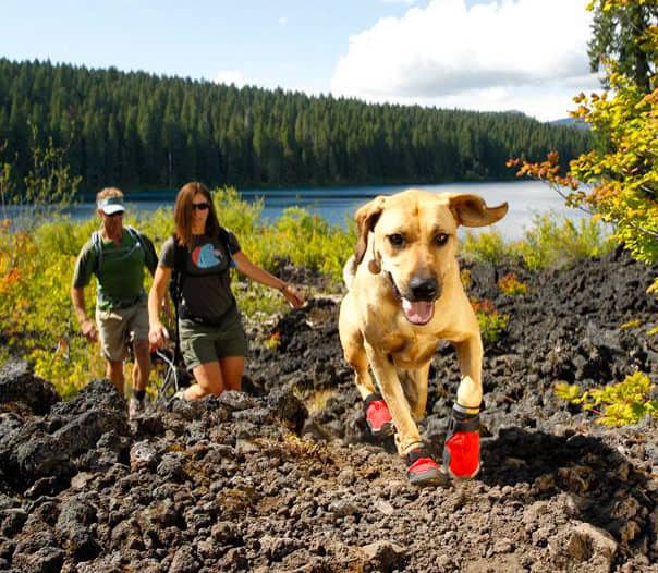 Ruffwear Summit Trex Boots Outdoor Dog Accessory