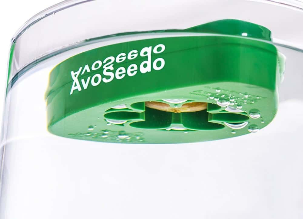 AvoSeedo Cool Gift to Buy for Kids