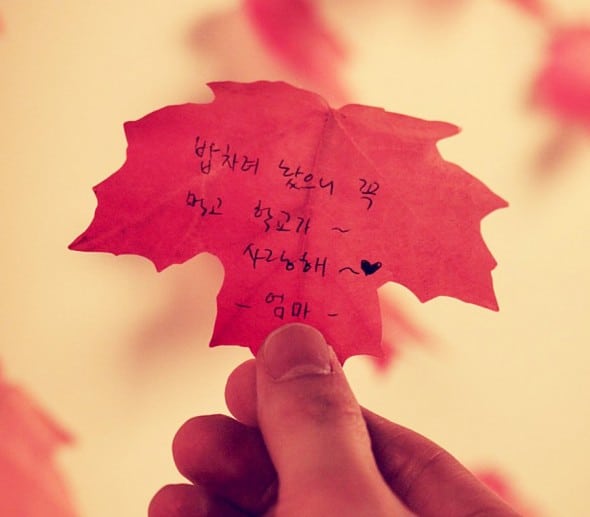 Red Maple Leaf Sticky Notes Cute Office Supply Red Maple Leaf Sticky Notes Cute Office Supply