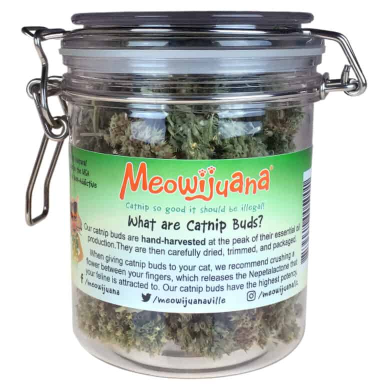 Meowijuana Catnip Buds Jar