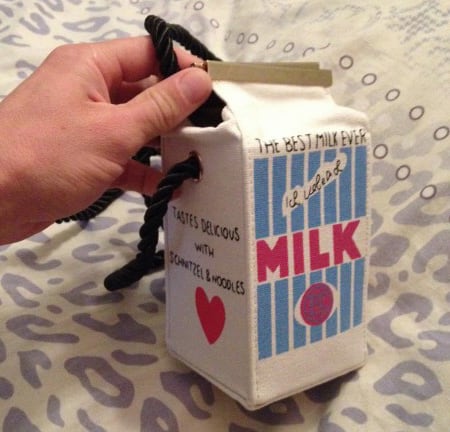 Mini Milk Carton Purse Cool Gift to Buy Girlfriend