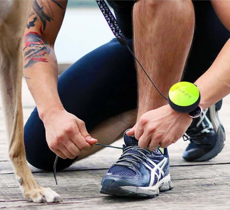 Lishinu Retractable Hands Free Dog Leash Jogging Gadget to Buy