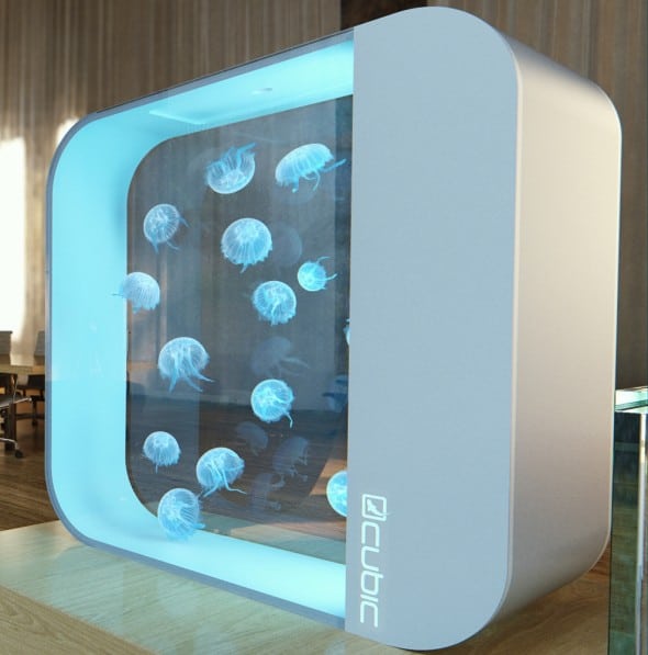 Cubic-Pulse-80-Jellyfish-Aquarium-Cool-Gift-to-Buy-for-Kids Cubic-Pulse-80-Jellyfish-Aquarium-Cool-Gift-to-Buy-for-Kids
