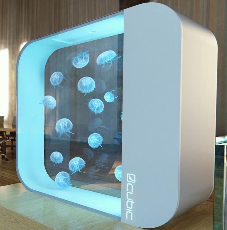 Cubic-Pulse-80-Jellyfish-Aquarium-Cool-Gift-to-Buy-for-Kids