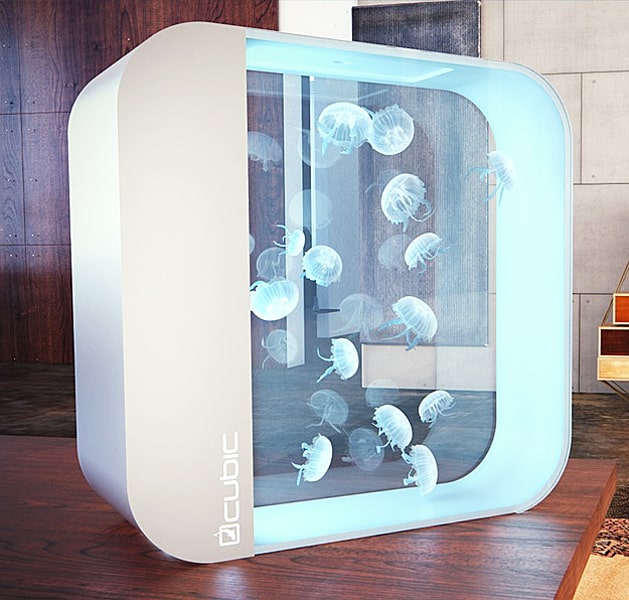 Cubic Pulse 80 Jellyfish Aquarium House Warming Gift Idea