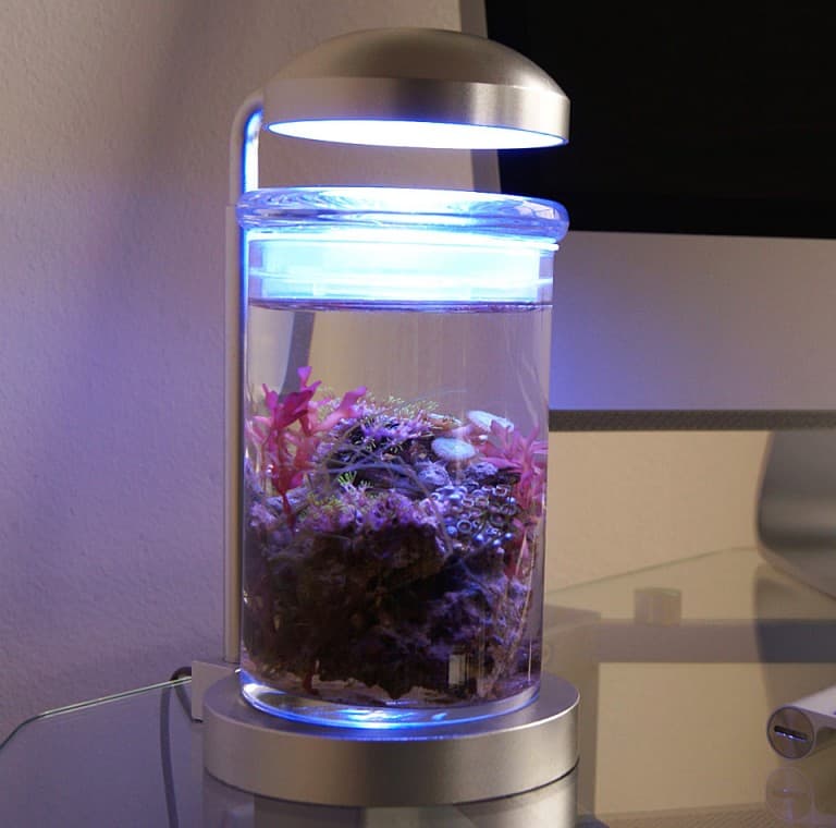 PJ Reefs Miniature Saltwater Aquarium Lamp Household Item For Ocean Lovers
