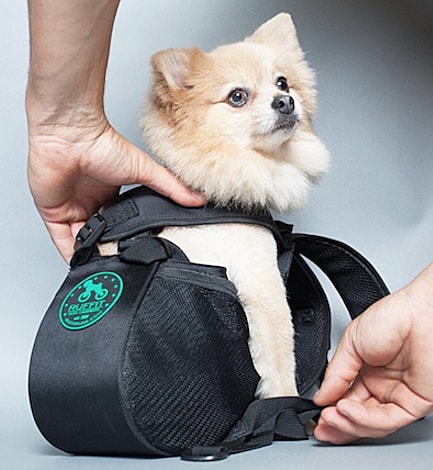 Ruffit dog shop carrier uk