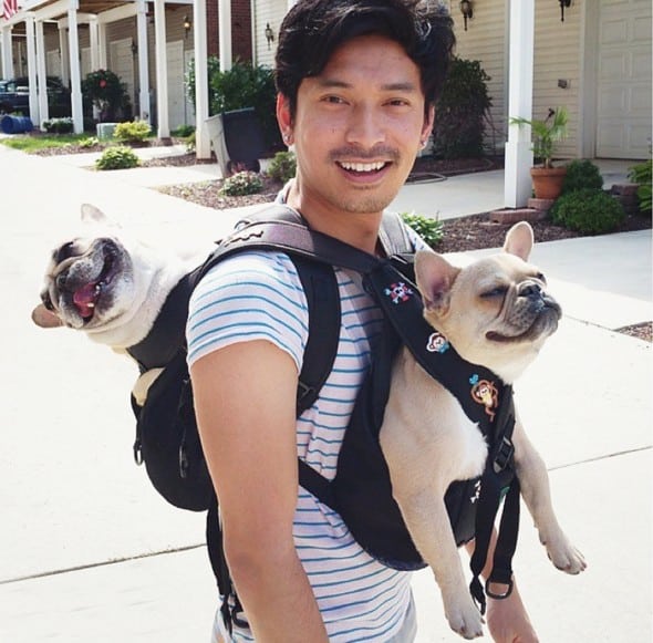 Ruffit Dog Carrier Gift Idea For Dog Lovers Ruffit Dog Carrier Gift Idea For Dog Lovers