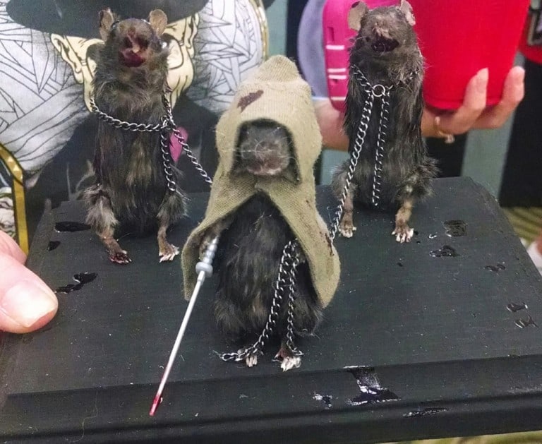 The Curious 13 The Walking Dead Michonne and friends taxidermy mice Gift Idea For Him