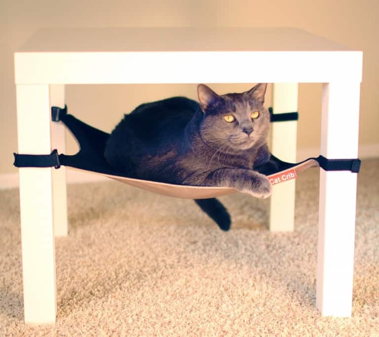 Cat Crib Cat Hammock Cute Feline Chair Accessory