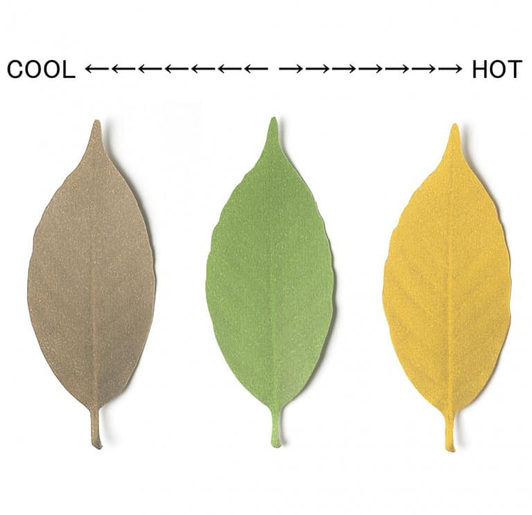 Hideyuki Kumagai Leaf Thermometer Paper Good for Outdoors