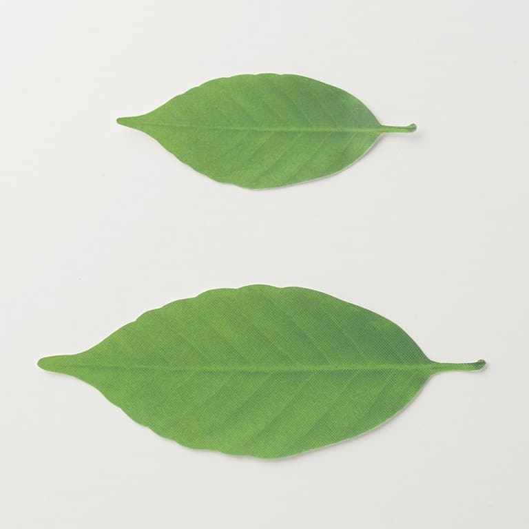 Hideyuki Kumagai Leaf Thermometer Paper Safe Indoor Decorative