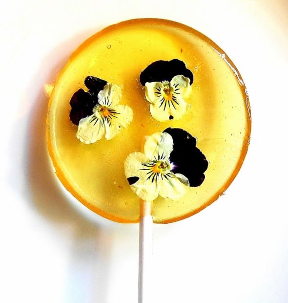 Sugar Bakers Bakery Fresh Flower with Liquor Lollipops Buy Weird Liquor Stuff Sugar Bakers Bakery Fresh Flower with Liquor Lollipops Buy Weird Liquor Stuff