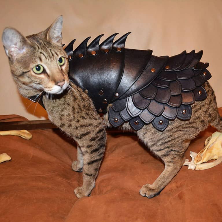 Savage Punk Cat Battle Armor Cool Animal Suit