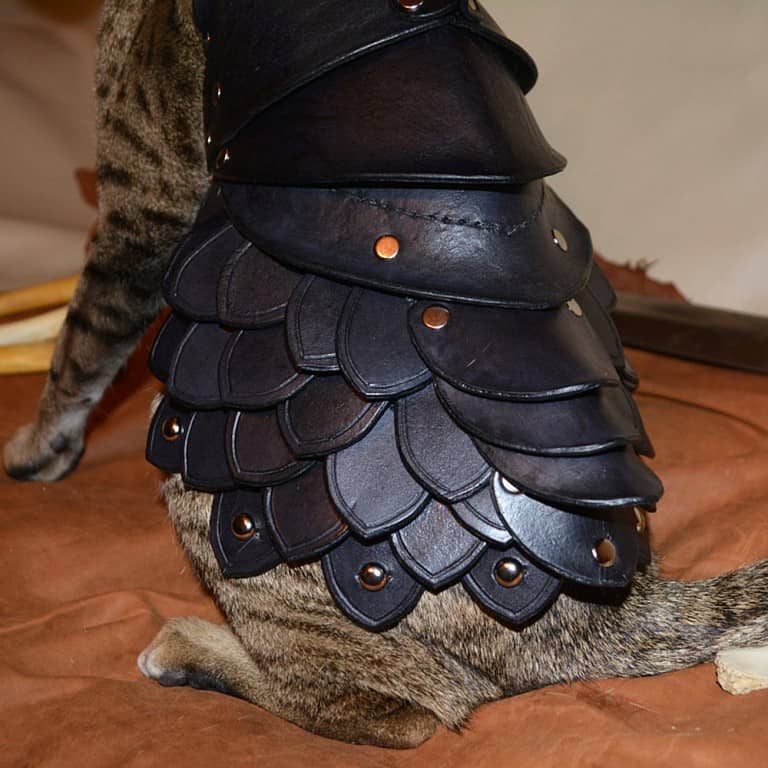 Savage Punk Cat Battle Armor Cute Pet Clothes