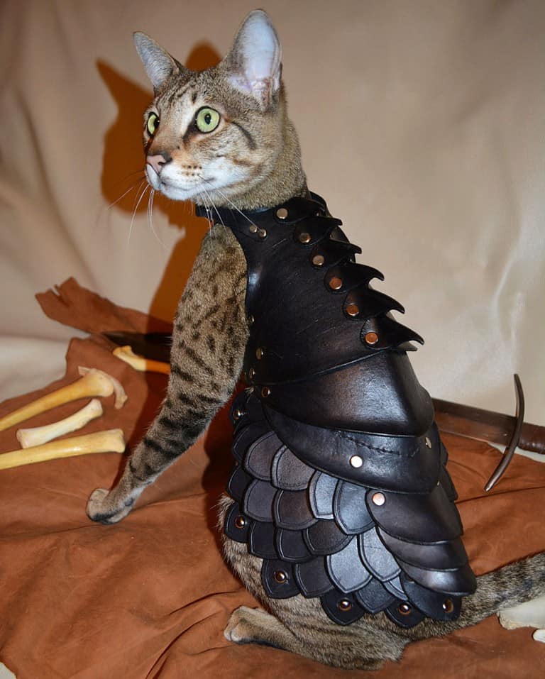 Savage Punk Cat Battle Armor Gift Idea for Cat Lovers