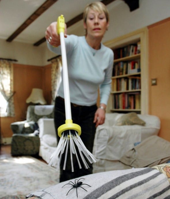 Spider Catcher Great Gift for Arachnophobic Spider Catcher Great Gift for Arachnophobic