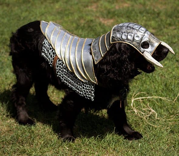 Lebovskiart Fantasy Dog Knight Armor NoveltyStreet