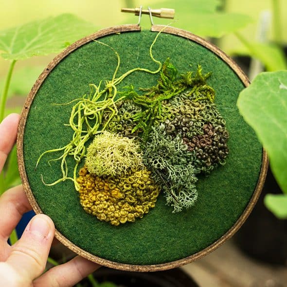 Spectremma Moss Embroidery Nice Gift Idea Spectremma Moss Embroidery Nice Gift Idea