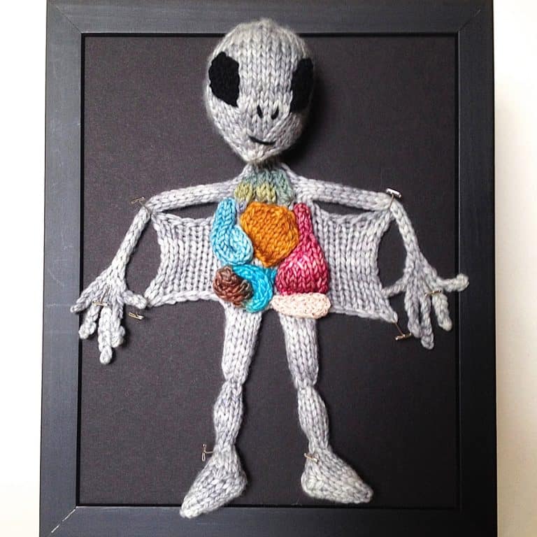 aKNITomy Knitted Alien Autopsy Nice Christmas Present