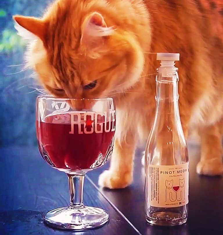 Apollo Peak Catnip Cat Wine Pet Shop Item