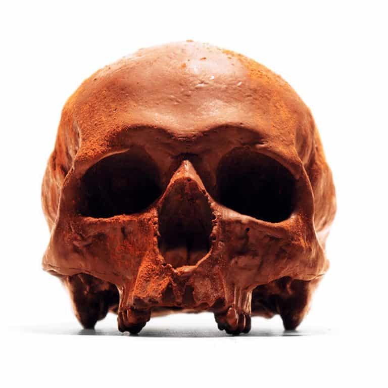 Black Chocolate Co Anatomically Correct Chocolate Skull Belgian Chocolate