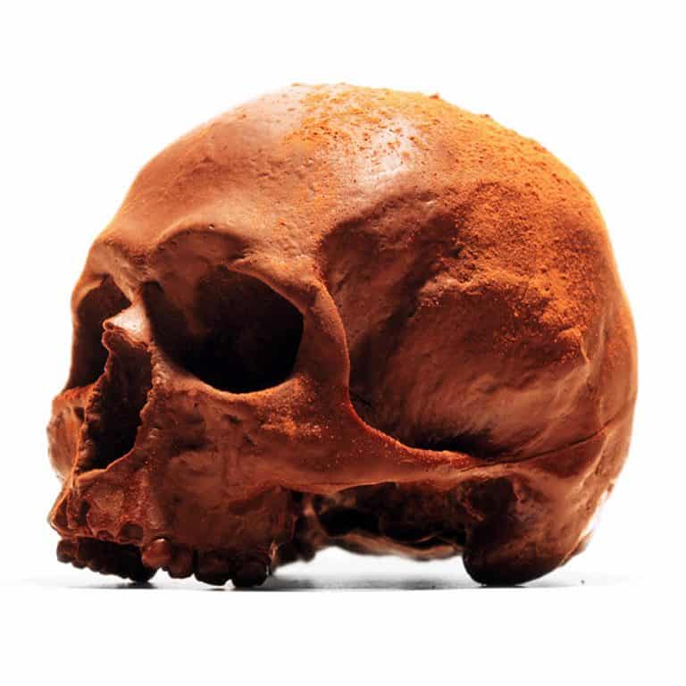 Black Chocolate Co Anatomically Correct Chocolate Skull Finished with Fine Cocoa Powder