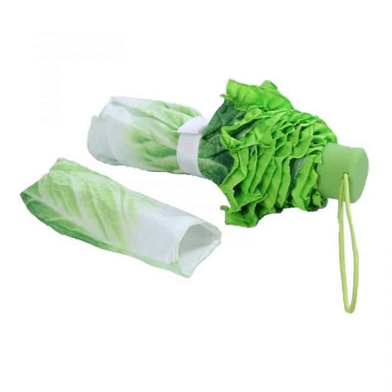 Folding Cabbage Umbrella Compact