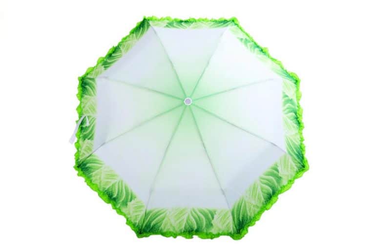 Folding Cabbage Umbrella Gift for Vegetarians