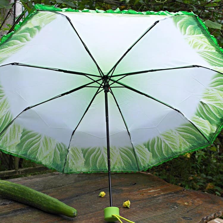 Folding Cabbage Umbrella Novelty Item