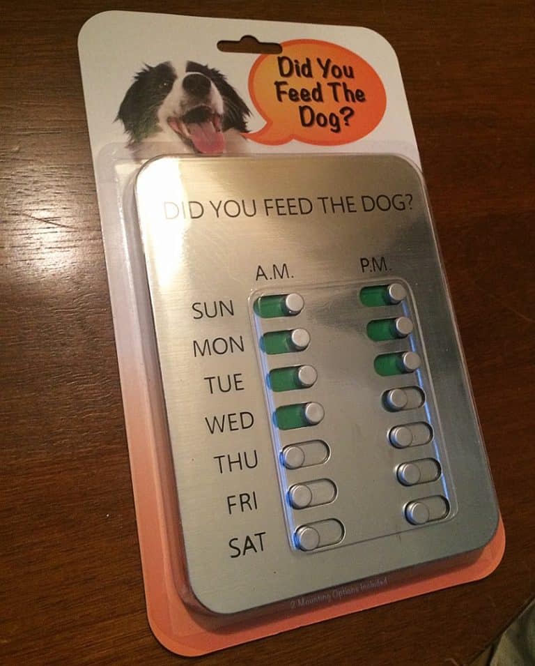 Did You Feed the Dog Simple Color Coding