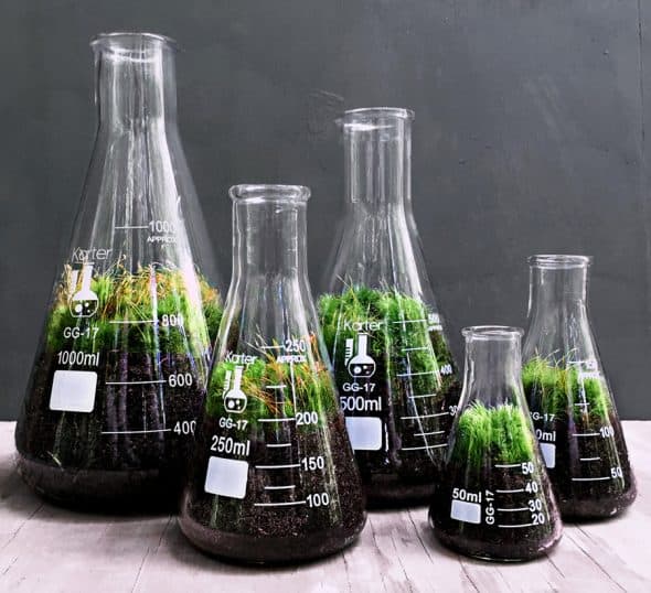 doodle-birdie-chemistry-flasks-terrarium-set-break-resistant doodle-birdie-chemistry-flasks-terrarium-set-break-resistant