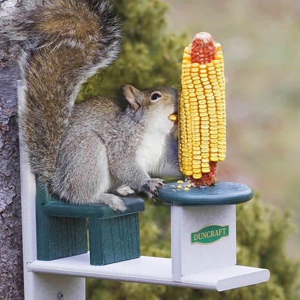 duncraft-eco-squirrel-table-chair-feeder duncraft-eco-squirrel-table-chair-feeder